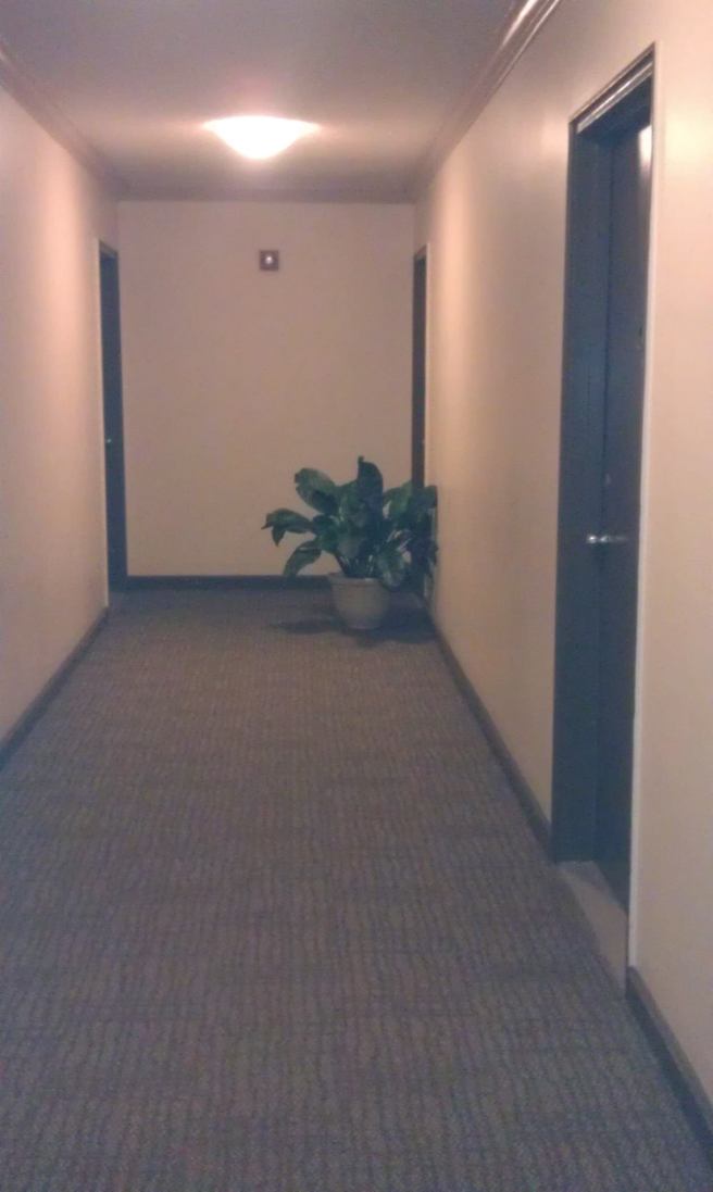 11246249_10200882032250498_708155772698116380_o